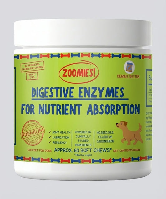 Digestive Enzymes for Nutrient Absorption (1-Pack)